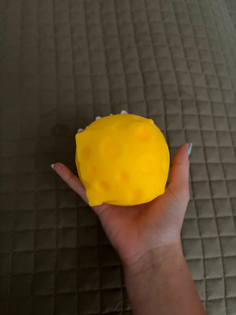 Cheese Squishy